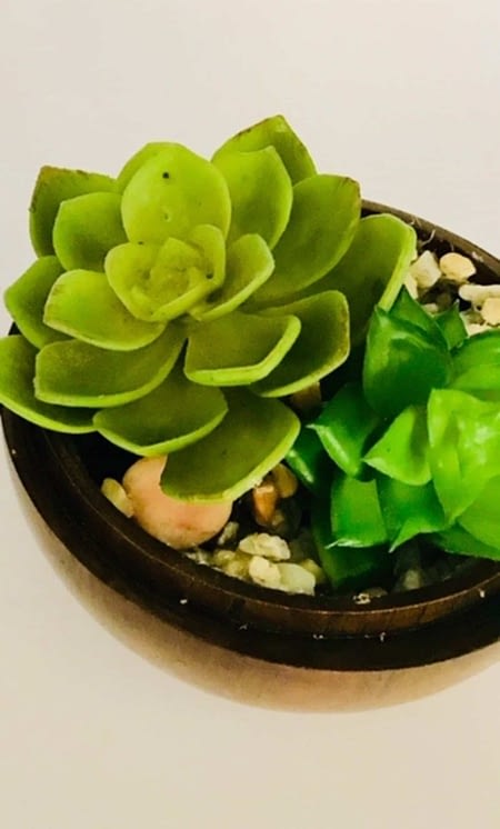 Faux Succulents in Wooden